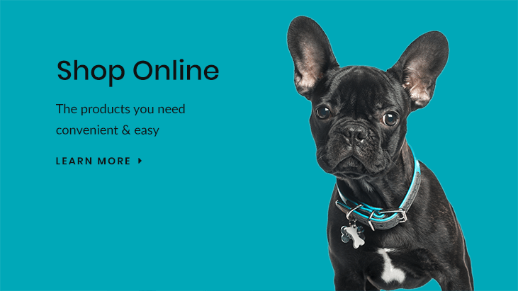 Shop for Pet Products Online in Austell