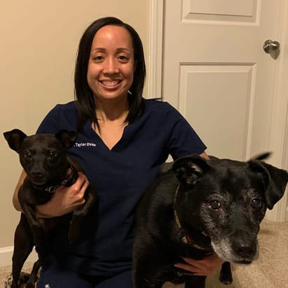 Dr. Stefanie Taylor, Austell Veterinarian